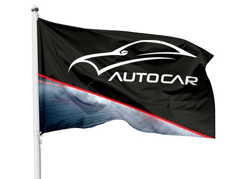 Corporate Pole Flag